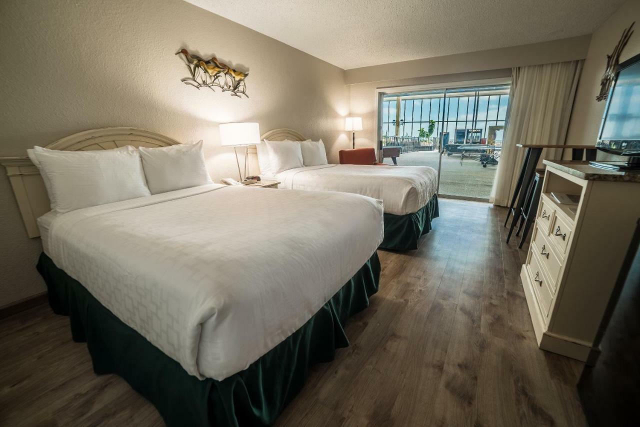Emerald Beach Hotel Corpus Christi Værelse billede